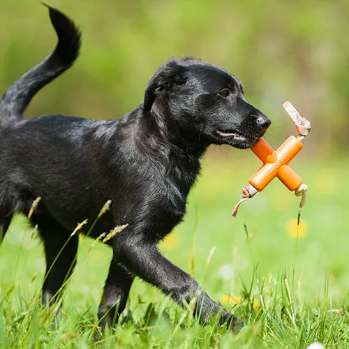 Major Dog DogX Fetch Toy