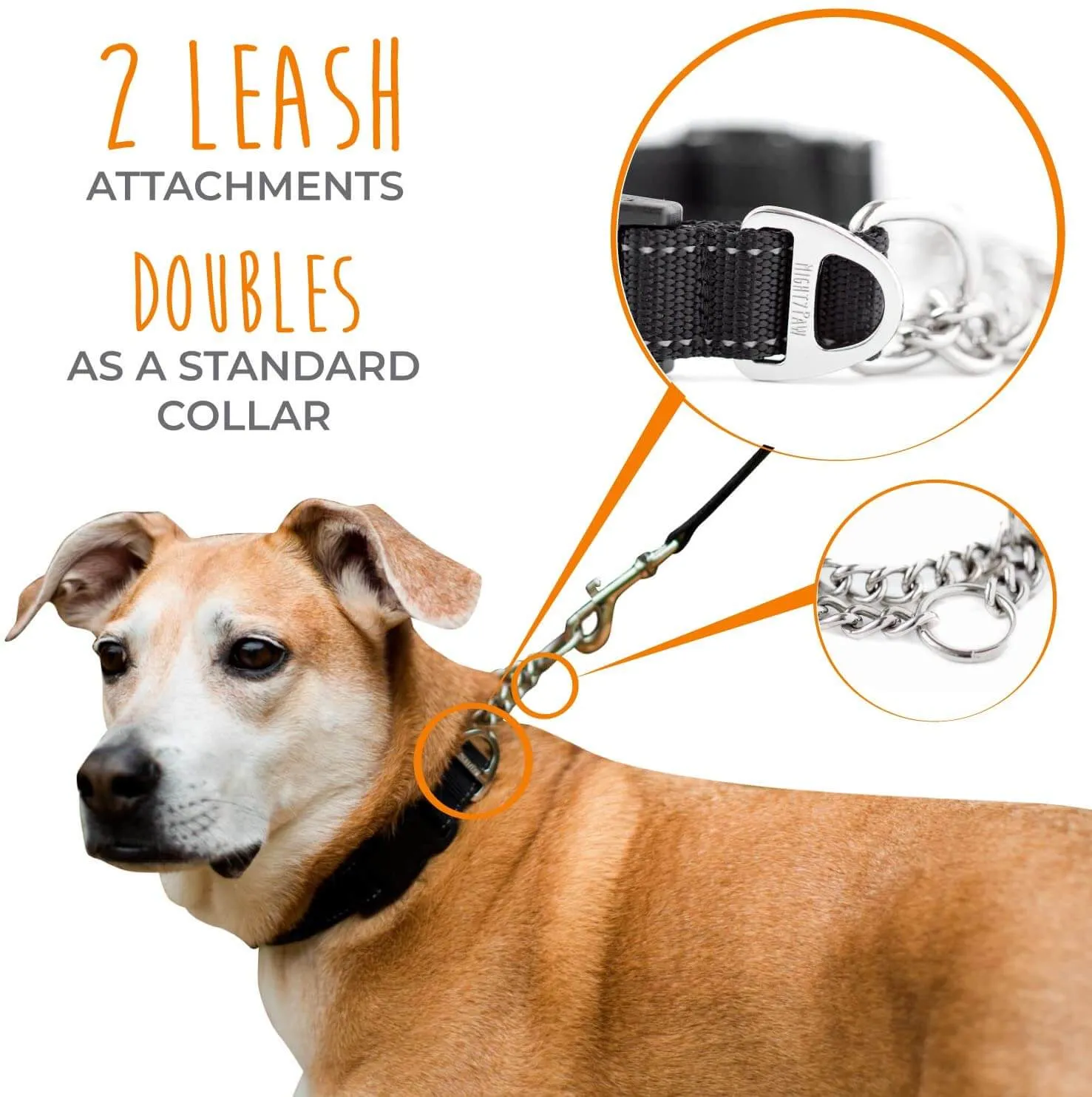 Mighty Paw Martingale Cinch Collar - Training Made Easy